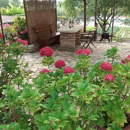 Apartma Fiorina Holiday home Secovlje