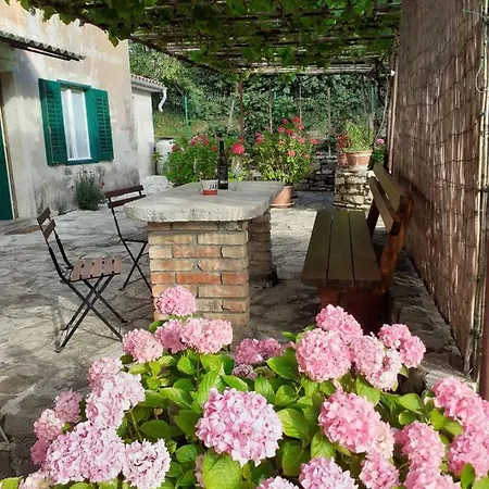 Apartma Fiorina *